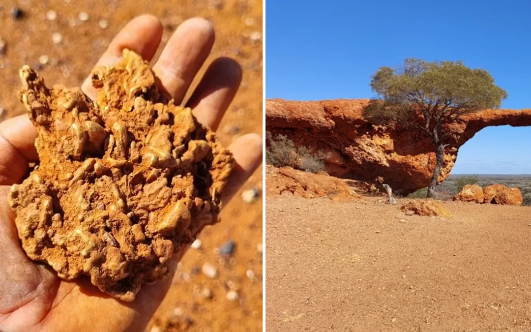 Nugget found at Sandstone, weighing 895 grams